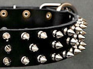 Black Leather Spiked dog Collar for Dalmatian