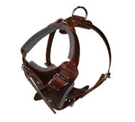 Comfort Padded Dog Harness for Dalmatian Comfort Padded Dog Harness for Dalmatian