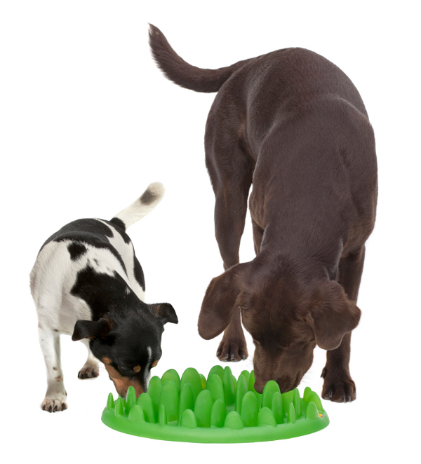 Plastic Dalmatian dog feeder