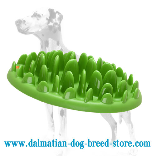http://www.dalmatian-dog-breed-store.com/images/Dalmatian-dog-supplies/Dalmatian-dog-grassy-lawn-big-dogs-feeder-KA17-big.jpg