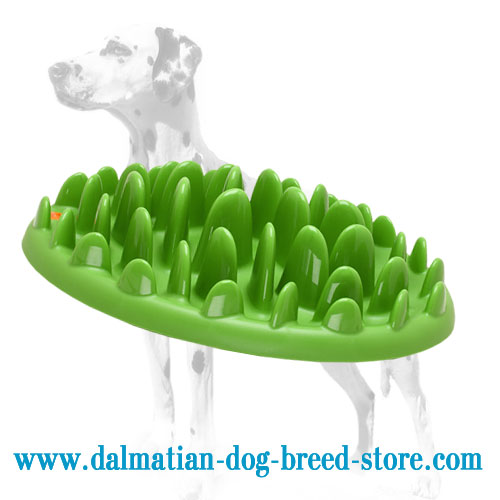 Dalmatian Green Lawn Interactive Slow Dog Feeder - Dalmatian