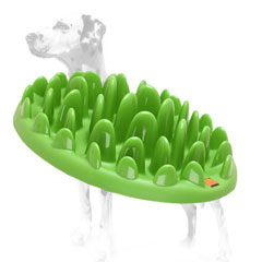 Dogs pet feeder for Dalmatians