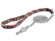 Long chain dog leash for Dalmatian