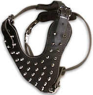 Found Spike Dalmatian Harness Manufacturers Found Spike Dalmatian Harness Manufacturers
