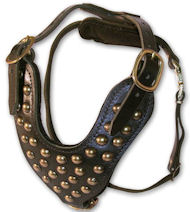 Two-Ply Latigo Dog Harness with Studs for Dalmatian Two-Ply Latigo Dog Harness with Studs for Dalmatian