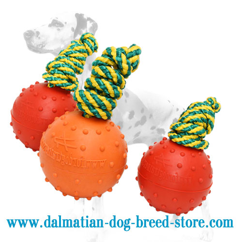 Buy Unsinkable Bright Rubber Dog Training Ball