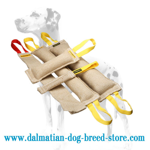 Dalmatian training tugs set, extra strong and easy to use