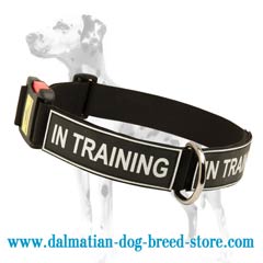 Multifunctional Nylon Dalmatian dog collar