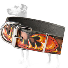 Dalmatian leather dog collar with weater resistant paint