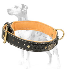 Awesome design soft leather Dalmatian dog collar