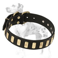 High-class leather multipurpose dog collar for Dalmatian