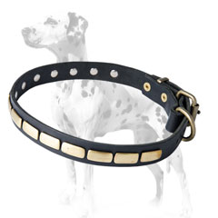 Handcrafted convenient leather decorated Dalmatian dog collar