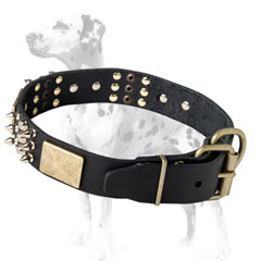 Top quality Dalmatian decorated leather dog collar for walking
