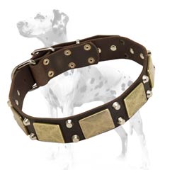 Dalmatian leather dog collar for fancy look of your pet