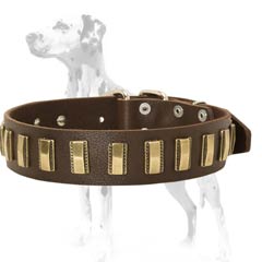 Dalmatian leather dog collar neatly looking