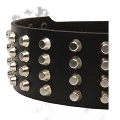 Great Dalmatian breed leather collar for fashionable walking