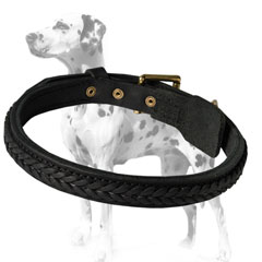Originally designed dog collar for dalmatian breed 