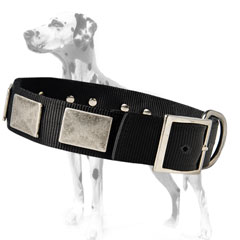 Sparkish nylon dog collar for dalmatians