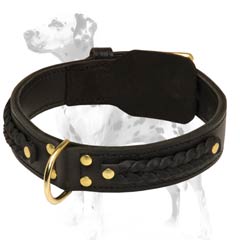 Dalmatian leather dog collar for everyday activities