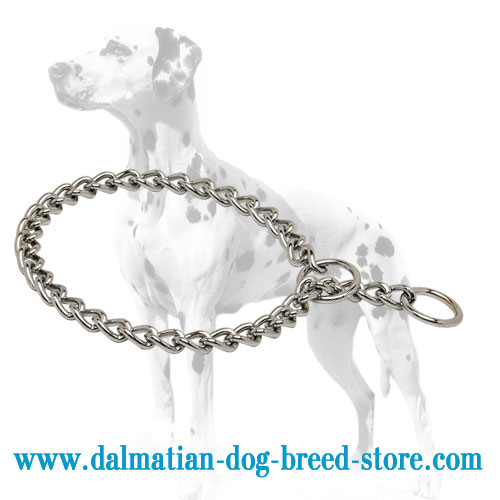 Dog choke chain collar for obedience training