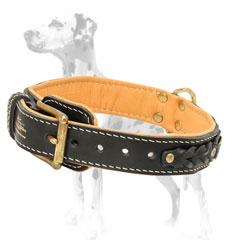 Original leather dog collar of the highest quality for Dalmatians