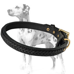 Perfect training with Dalmatian leather dog collar