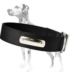 Awesome Nylon plied dog collar for Dalmatians