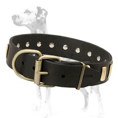 Walking and training leather Dalmatian dog collar
