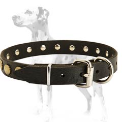 Dalmatian leather dog collar masterly designed