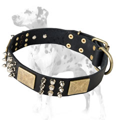 Dalmatian leather wide adjustable stylish dog collar