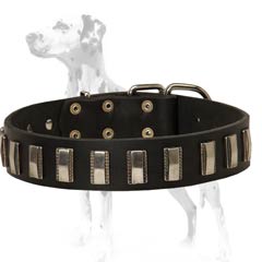 Dalmatian leather dog collar with small shiny plates decoration