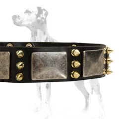 Dalmatian leather dog collar with metal buckle and D-ring