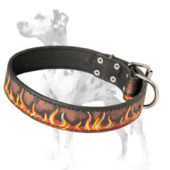 Practical and stylish water resistant leather dog collar