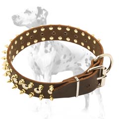Dalmatian leather dog collar exclusive work