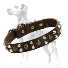 Dalmatian leather dog collar fitted with brass studs and nickel pyramids