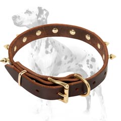 Dalmatian leather dog collar masterly hand-crafted