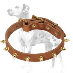 Dalmatian leather dog collar with neatly looking brass spikes