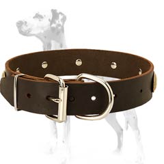 Dalmatian leather dog collar masterly hand-crafted