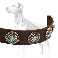 Dalmatian leather dog collar for daily activities with riveted decorations