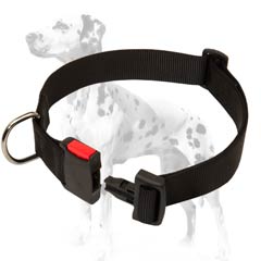 Dalmatian strong nylon dog collar with quick release buckle