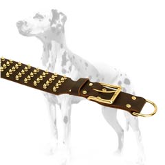Dalmatian leather dog collar with tightly riveted decorations