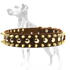 Dalmatian leather dog collar with neatly looking decorations