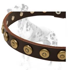 Dalmatian leather dog collar for daily use