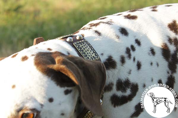 Dalmatian leather collar easy-to-adjust with handset decoration for daily walks