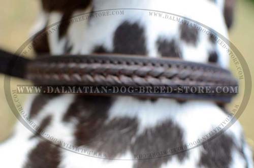 Dalmatian everyday braided leather collar