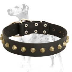 Dalmatian leather dog collar for daily activities with riveted pyramids