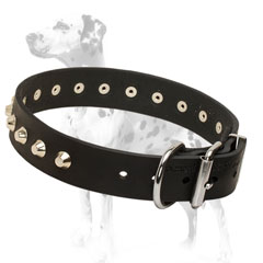 Hand-  Decorated  Dalmatian dog collar for daily use