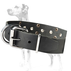 Dalmatian durable handcrafted leather dog collar with stylish decoration