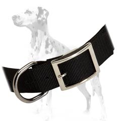 Super durable nylon collar