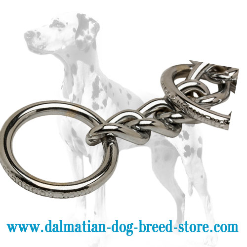 Solid ring to attach the leash of dog choke collar
